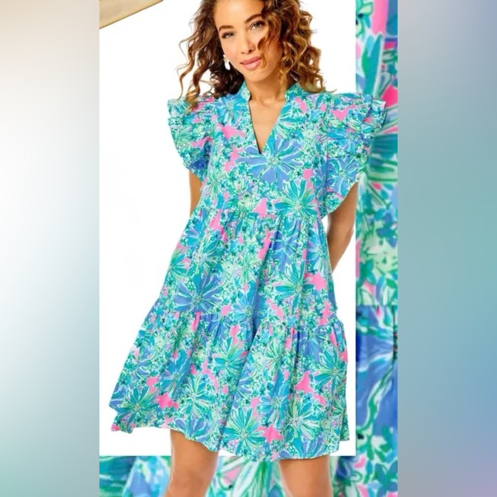 Lilly Pulitzer Aldena Floral Ruffle A-line Dress Multicolor Floral V-Neck Dress
